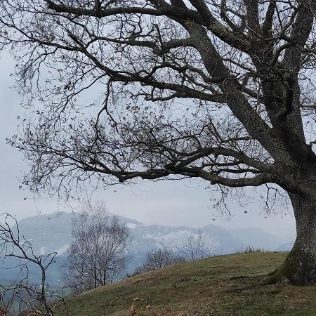 Gite Des 3 Arbres Aramits Eksteriør bilde