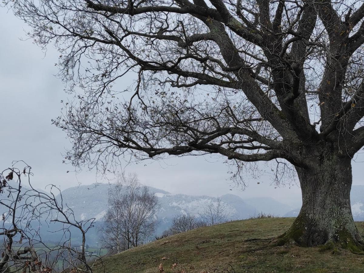 Gite Des 3 Arbres Aramits Eksteriør bilde